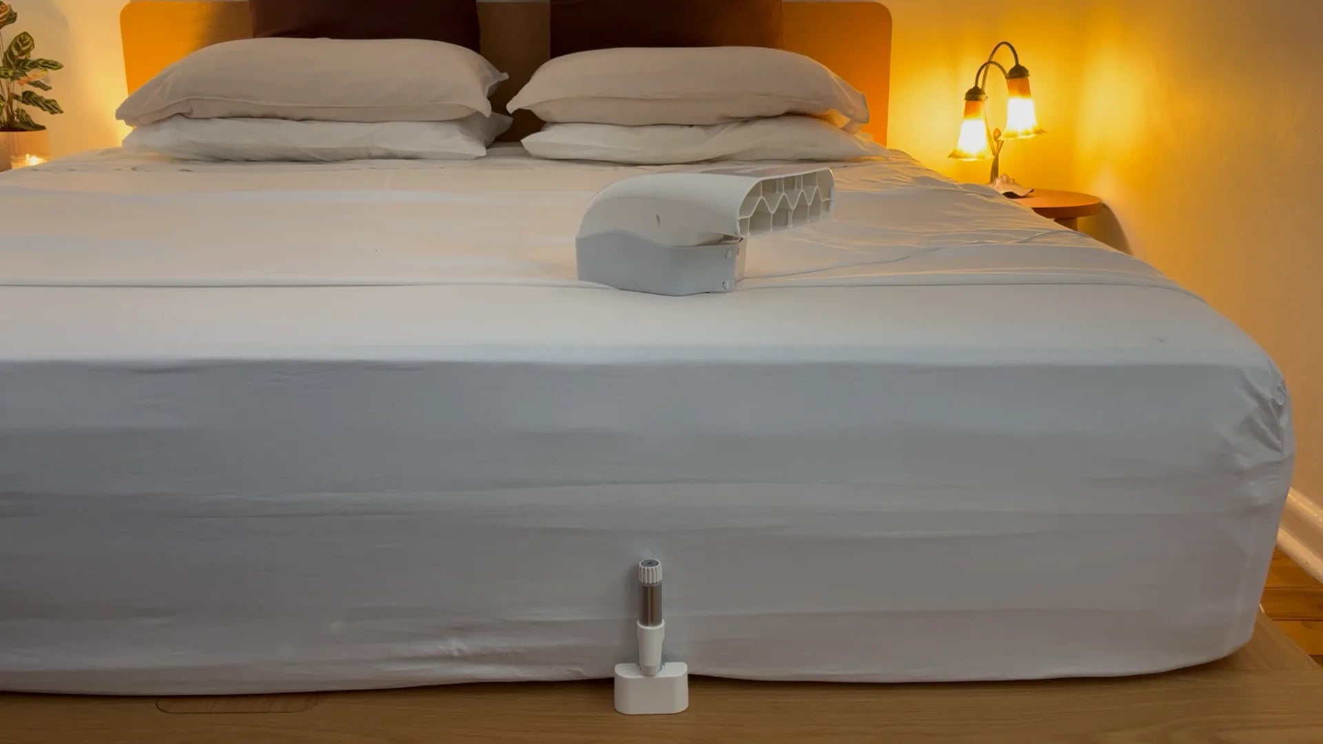A Fantail lifting the duvet on a made bed in a warmly lit bedroom